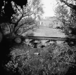 2Tp tank blown on minefield, c.1944